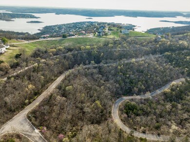 000 Hill Haven Rd, Ridgedale, MO 65672 - photo 4