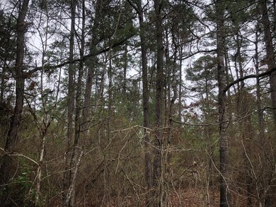 View of landscape featuring a forest view