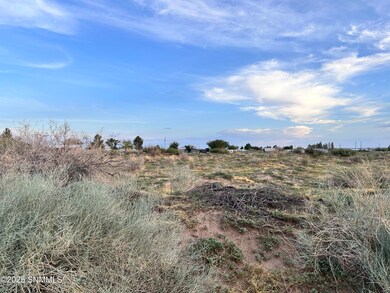 TBD Shrode Rd, Anthony, NM 88021 - photo 7