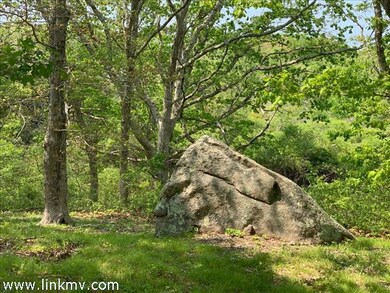 36 High Meadow, Chilmark, MA 02535 - photo 6