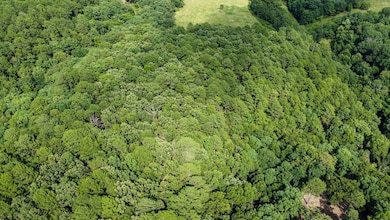 3.11 S 620 Rd, Jay, OK 74346 - photo 2