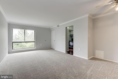 5756 Village Green Dr unit G, Alexandria, VA 22309 - photo 5