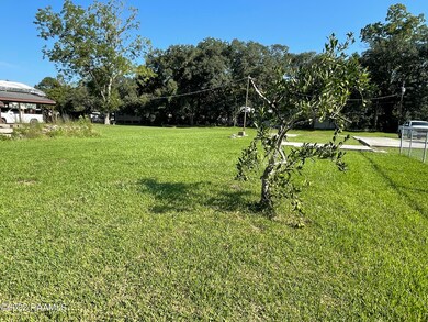Pic 5
