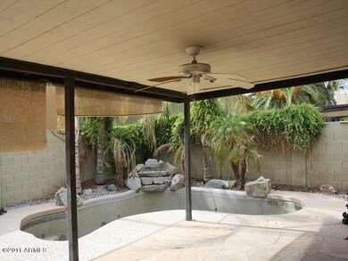 Patio view