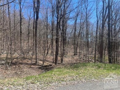 0 Amy's Ln unit 152415, Austerlitz, NY 12017 - photo 7