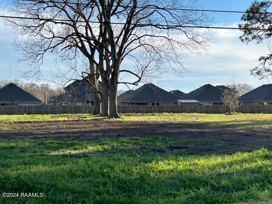 After 3 trees removed