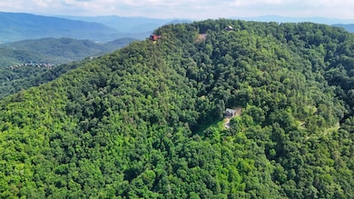 0 Balsam Slopes Rd unit RTC2914686, Sevierville, TN 37862 - photo 3