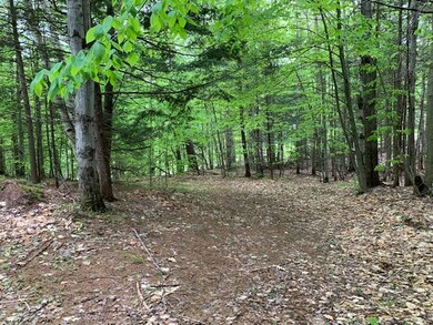 140 Winthrop Dr, Shelburne, NH 03581 - photo 4