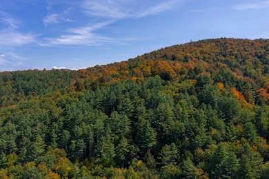 00 Howe Hill Rd, Sharon, VT 05065 - photo 6