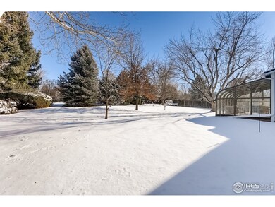 Huge Backyard