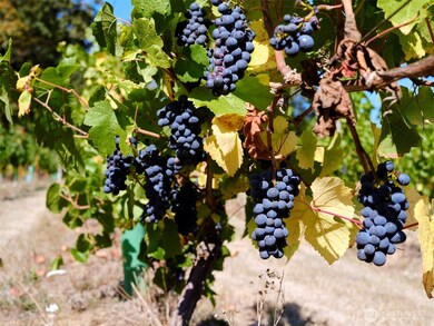 11700 NE 279th St, Battle Ground, WA 98604 - photo 7