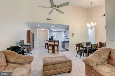 5004 Willow Branch Way unit 304, Owings Mills, MD 21117 - photo 7