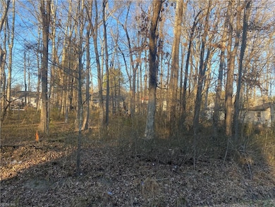 802 Luke St, Blackstone, VA 23824 - photo 2