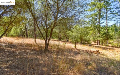 Par B Sawmill Flat Rd, Sonora, CA 95370 - photo 4