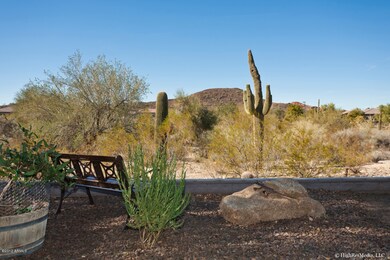 2_Backyard Views