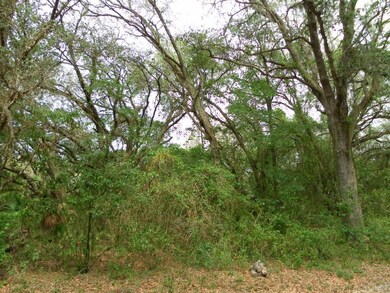 106 Mazie Dr, Zephyrhills, FL 33541 - photo 3