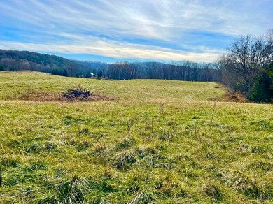 231 Highway 1003, Somerset, KY 42501 - photo 2