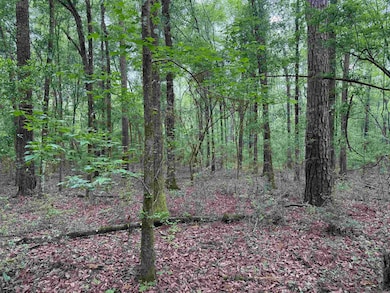 0 Louisiana 438, Franklinton, LA 70438 - photo 3