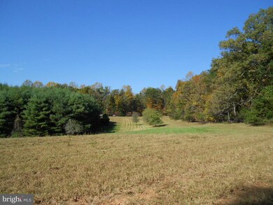 7311 Crooked Run Ln, Rapidan, VA 22733 - photo 7