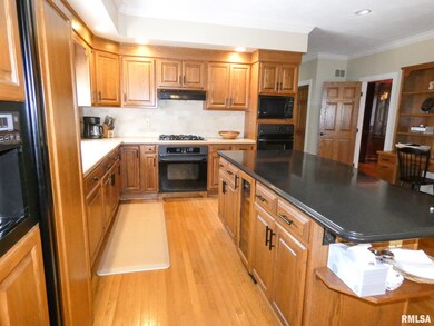 11709 N Strathmoore Ct, Dunlap, IL 61525 - photo 6