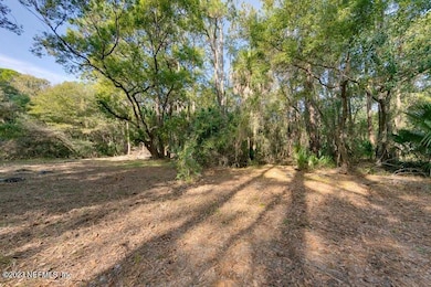 Woods 2