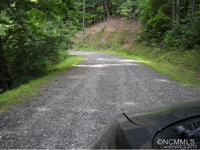 000 Tryst Dr, Asheville, NC 28805 - photo 2