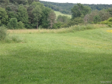 0 VL Java Lake Rd, Arcade, NY 14009 - photo 4