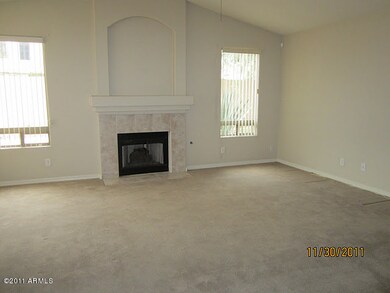 Fireplace in Family Room