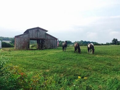 0 Earl Jones Rd, Crossville, TN 38555 - photo 3