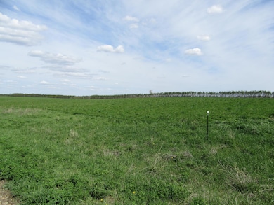 11 Royal Oaks Rd, Garvin, MN 56132 - photo 3