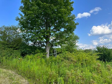 VL White Creek Rd, Friendship, NY - photo 6