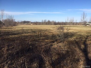 Pasture from top