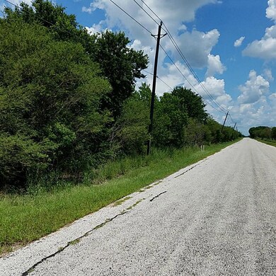 0 Hopkins unit 22999657, Beasley, TX 77417 - photo 3