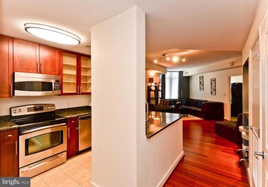 One National Harbor unit 523, Oxon Hill, MD 20745 - photo 6