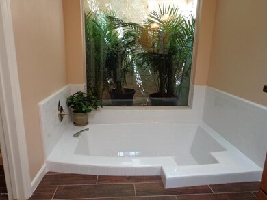 Master Tub