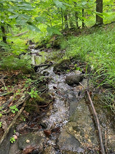 2899 Vermont 5a, Orleans, VT 05860 - photo 6