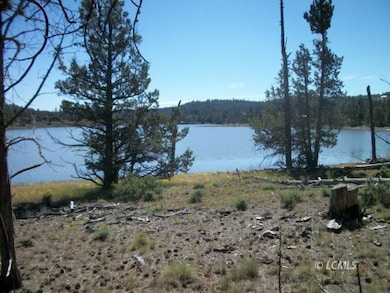 Drews Reservoir Lake front lot