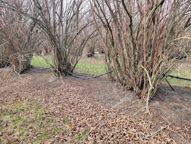 V/L 72nd St, Covert, MI 49043 - photo 3