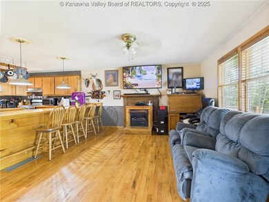 268 Mountain View Dr, Big Springs, WV 26137 - photo 3