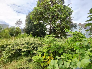 W S Logan St, Springfield, MA 01109 - photo 4