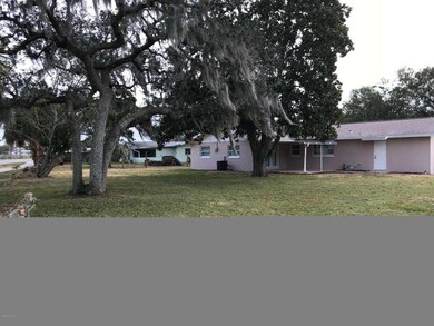 BACK YARD VIEW