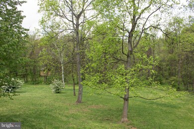 1908 Goldmiller Rd, Bunker Hill, WV 25413 - photo 3