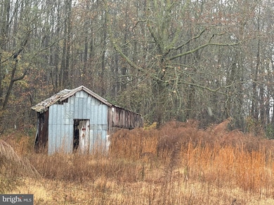 36288 Pear Tree Rd, Millsboro, DE 19966 - photo 2