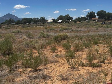 TBD S Chestnut St, Cortez, CO 81321 - photo 4