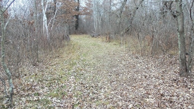 Lot 1 300th St, Sterling Township, WI 54024 - photo 4