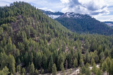 41XX Grouse Creek Rd, Loon Lake, WA 99148 - photo 3