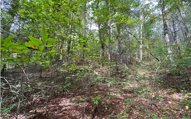 Additional View