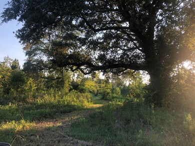 Beautiful landscape