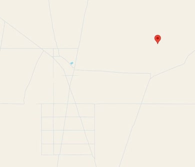 Mosley Rd, Fort Hancock, TX 79839 - photo 7