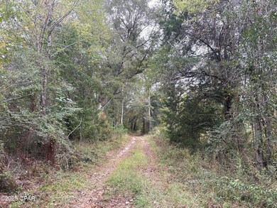 tbd N Golden Rd, Jacob City, FL 32431 - photo 7